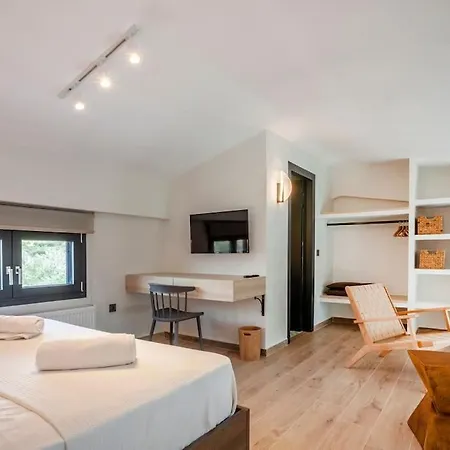 Thalos Luxury Living Iii Feriehus Nikiti (Sithonia)